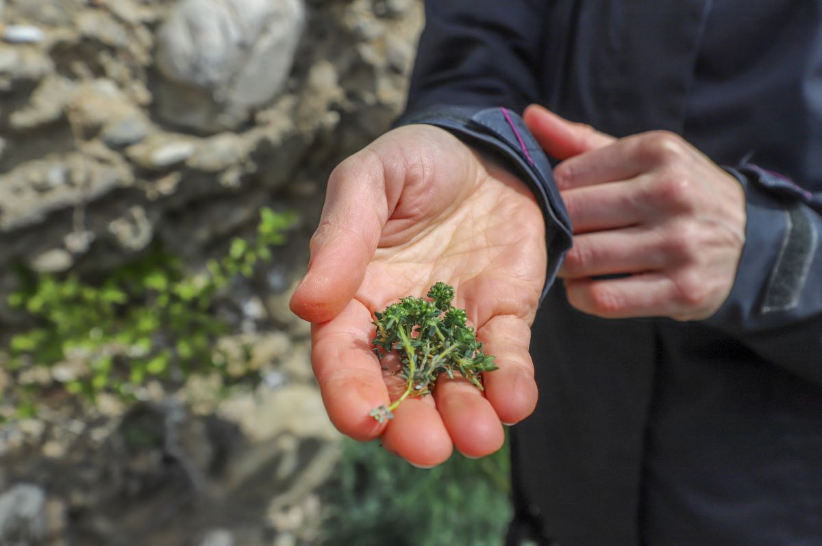 Retour sur le voyage de fin d’année – Promo IGE 2022-23