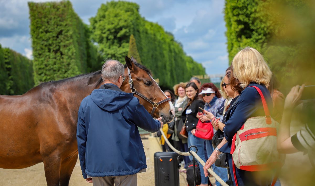Lancement de la formation : « Se (re)connecter au vivant pour être acteur de la transition écologique »