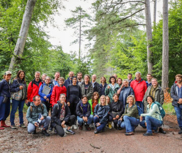 Enjeux de biodiversité dans la forêt du Pays de Fontainebleau