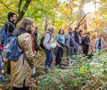 Atelier interdisciplinaire en forêt de Fontainebleau : une exploration des paysages et des savoirs