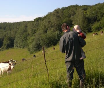 Projection & regards croisés