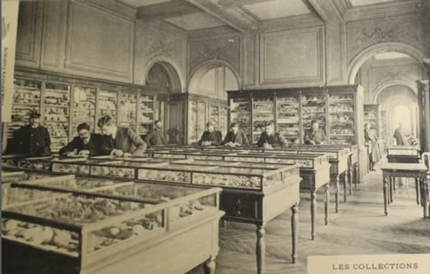 Un peu d’histoire