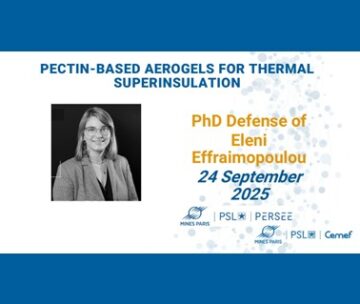 La vidéo de soutenance de thèse d’Eleni Effraimopoulou est désormais disponible