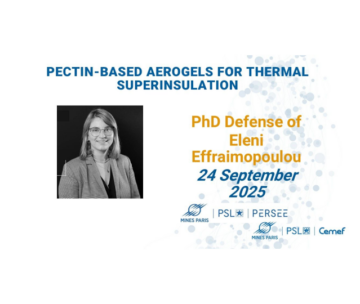 Soutenance de thèse de Eleni EFFRAIMOPOULOU