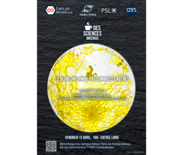 [Café des Sciences Moebius] Le Blob, une amibe pas comme les autres