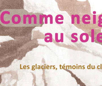 Virtual exhibition “Like snow in the sun: Glaciers, witnesses to the climate.”