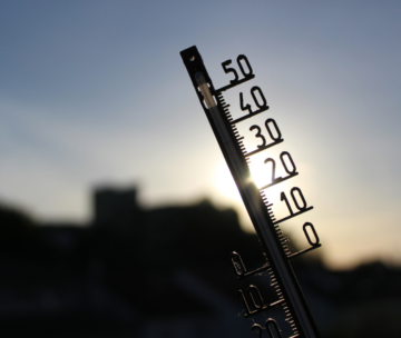 “The wealth of nations in the face of climate change”
