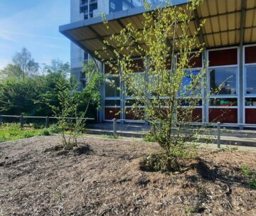 Journée d’échanges n°33 – Lab Recherche Environnement VINCI | ParisTech