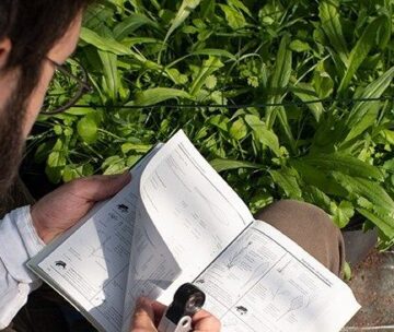 Conference – Urban greening: why do more, how do better?