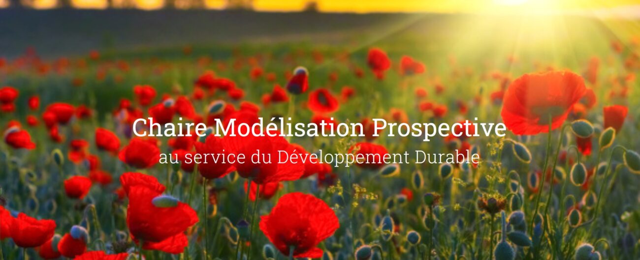 Journée de la chaire Modélisation prospective au service du développement durable