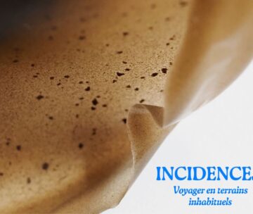 INCIDENCES – Voyager en terrains inhabituels