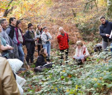 Fontainebleau, ancient forest and laboratory of the future: the FORÊT research project