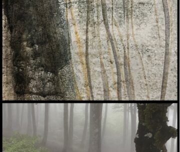 [Journée d’étude] Langues, cultures et géopolitique : enseigner en temps de crise