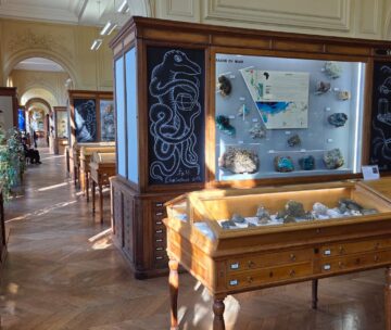 [Nuit des musées] Visite libre du musée de Minéralogie de Mines Paris – PSL