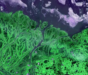 [Webinaire TTI.5] Approches terrain climat et biodiversité : du « net zéro » au génie végétal