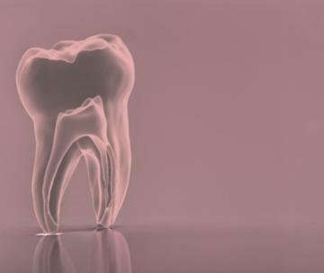 Imprimer des dents comme la nature les conçoit : le projet ANR CMADENT de Yannick Tillier 